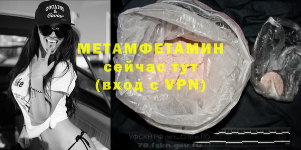 крисы Козловка