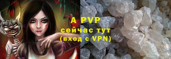 крисы Козловка