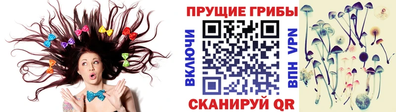 Галлюциногенные грибы GOLDEN TEACHER  Орехово-Зуево 